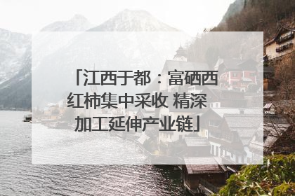 江西于都：富硒西红柿集中采收 精深加工延伸产业链