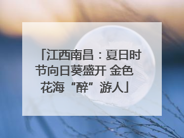 江西南昌：夏日时节向日葵盛开 金色花海“醉”游人