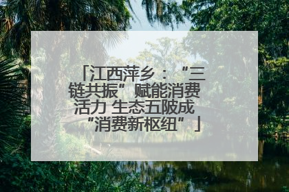 江西萍乡：“三链共振”赋能消费活力 生态五陂成“消费新枢纽”