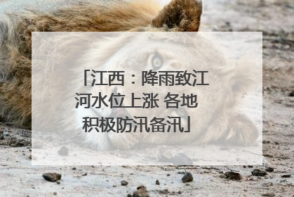 江西：降雨致江河水位上涨 各地积极防汛备汛