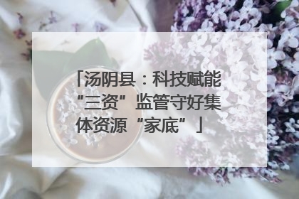 汤阴县：科技赋能“三资”监管守好集体资源“家底”