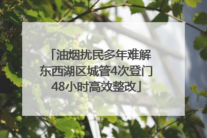油烟扰民多年难解 东西湖区城管4次登门48小时高效整改
