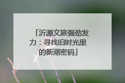沂源文旅强劲发力：寻找旧时光里的新潮密码