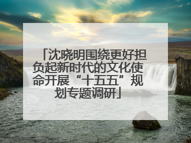 沈晓明围绕更好担负起新时代的文化使命开展“十五五”规划专题调研