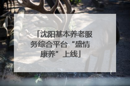 沈阳基本养老服务综合平台“盛情康养”上线