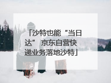 沙特也能“当日达” 京东自营快递业务落地沙特