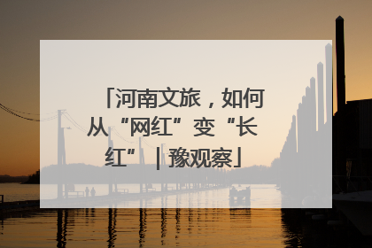 河南文旅，如何从“网红”变“长红”｜豫观察