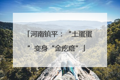 河南镇平：“土蛋蛋”变身“金疙瘩”