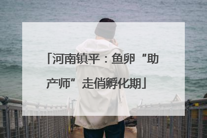 河南镇平：鱼卵“助产师”走俏孵化期