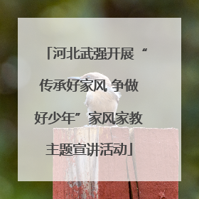 河北武强开展“传承好家风 争做好少年”家风家教主题宣讲活动