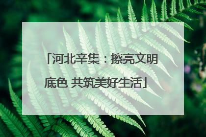 河北辛集：擦亮文明底色 共筑美好生活