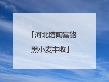 河北馆陶富铬黑小麦丰收