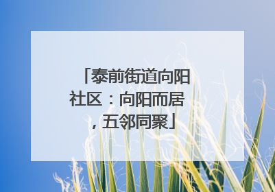 泰前街道向阳社区：向阳而居，五邻同聚