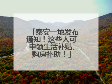 泰安一地发布通知！这些人可申领生活补贴、购房补助！