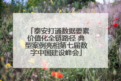泰安打通数据要素价值化全链路径 典型案例亮相第七届数字中国建设峰会