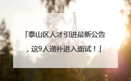 泰山区人才引进最新公告，这9人递补进入面试！