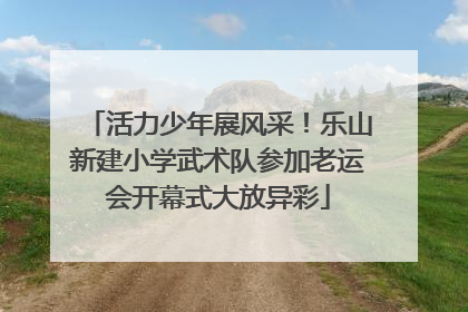 活力少年展风采！乐山新建小学武术队参加老运会开幕式大放异彩