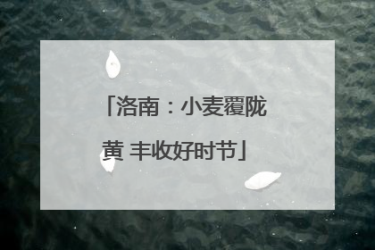 洛南：小麦覆陇黄 丰收好时节