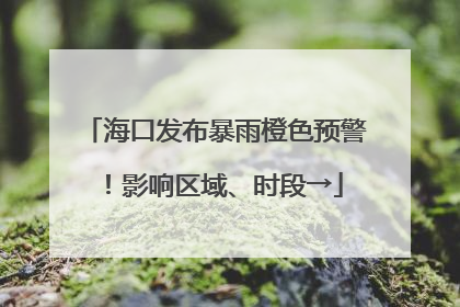 海口发布暴雨橙色预警！影响区域、时段→