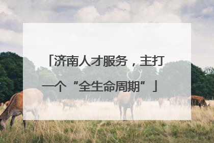 济南人才服务，主打一个“全生命周期”