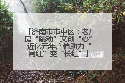 济南市市中区：老厂房“跳动”文创“心” 近亿元年产值助力“网红”变“长红”