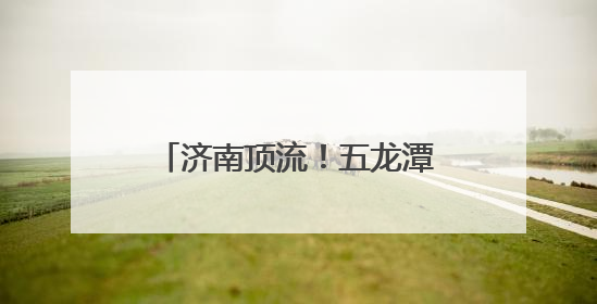 济南顶流！五龙潭的鸭鸭天团，C位等你来pick！