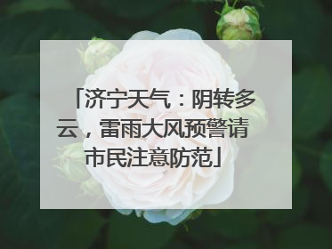济宁天气：阴转多云，雷雨大风预警请市民注意防范