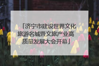 济宁市建设世界文化旅游名城暨文旅产业高质量发展大会开幕