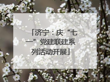 济宁：庆“七一”党建联建系列活动开展
