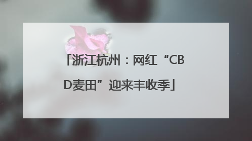 浙江杭州：网红“CBD麦田”迎来丰收季