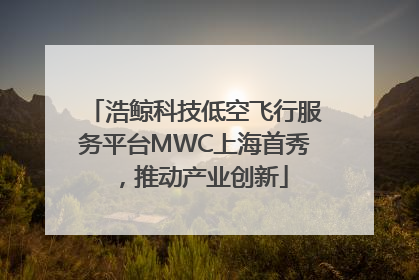 浩鲸科技低空飞行服务平台MWC上海首秀，推动产业创新