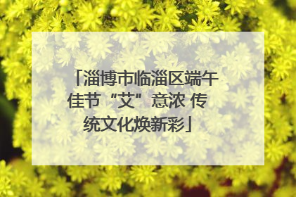 淄博市临淄区端午佳节“艾”意浓 传统文化焕新彩