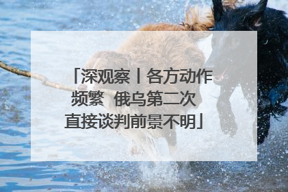 深观察丨各方动作频繁  俄乌第二次直接谈判前景不明
