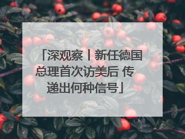 深观察丨新任德国总理首次访美后 传递出何种信号