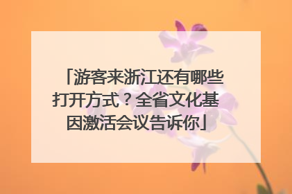 游客来浙江还有哪些打开方式？全省文化基因激活会议告诉你