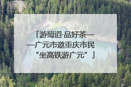 游蜀道·品好茶——广元市邀重庆市民“坐高铁游广元”