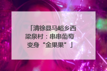 清徐县马峪乡西梁泉村：串串葡萄变身“金果果”
