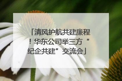 清风护航共建廉程！华东公司举三方“纪企共建”交流会