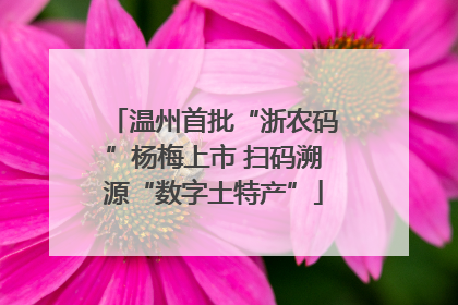 温州首批“浙农码”杨梅上市 扫码溯源“数字土特产”