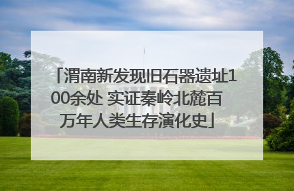 渭南新发现旧石器遗址100余处 实证秦岭北麓百万年人类生存演化史