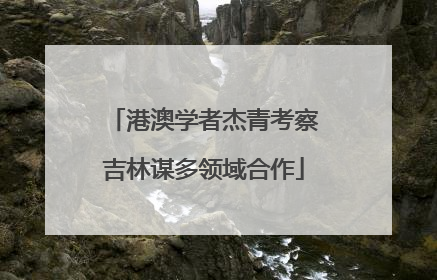 港澳学者杰青考察吉林谋多领域合作