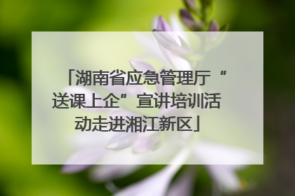 湖南省应急管理厅“送课上企”宣讲培训活动走进湘江新区