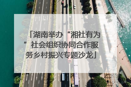湖南举办“湘社有为”社会组织协同合作服务乡村振兴专题沙龙