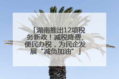 湖南推出12项税务新政！减税降费、便民办税，为民企发展“减负加油”