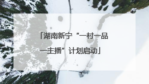 湖南新宁“一村一品一主播”计划启动