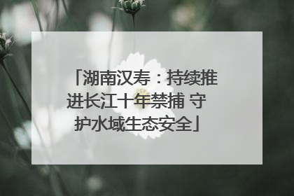 湖南汉寿：持续推进长江十年禁捕 守护水域生态安全