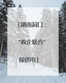 湖南洞口：“政企联合”保供电