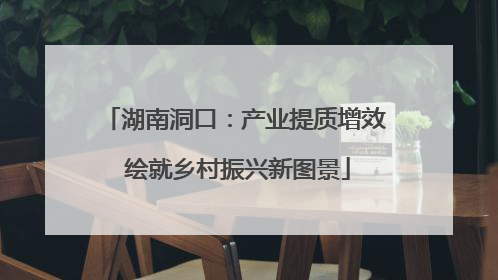 湖南洞口：产业提质增效 绘就乡村振兴新图景
