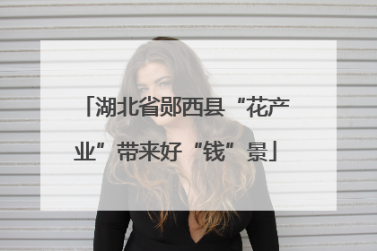 湖北省郧西县“花产业”带来好“钱”景
