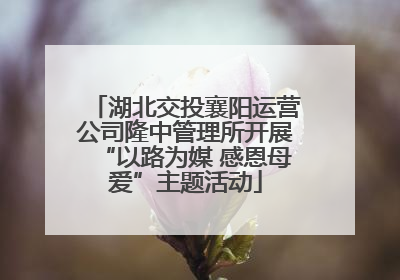 湖北交投襄阳运营公司隆中管理所开展“以路为媒 感恩母爱”主题活动